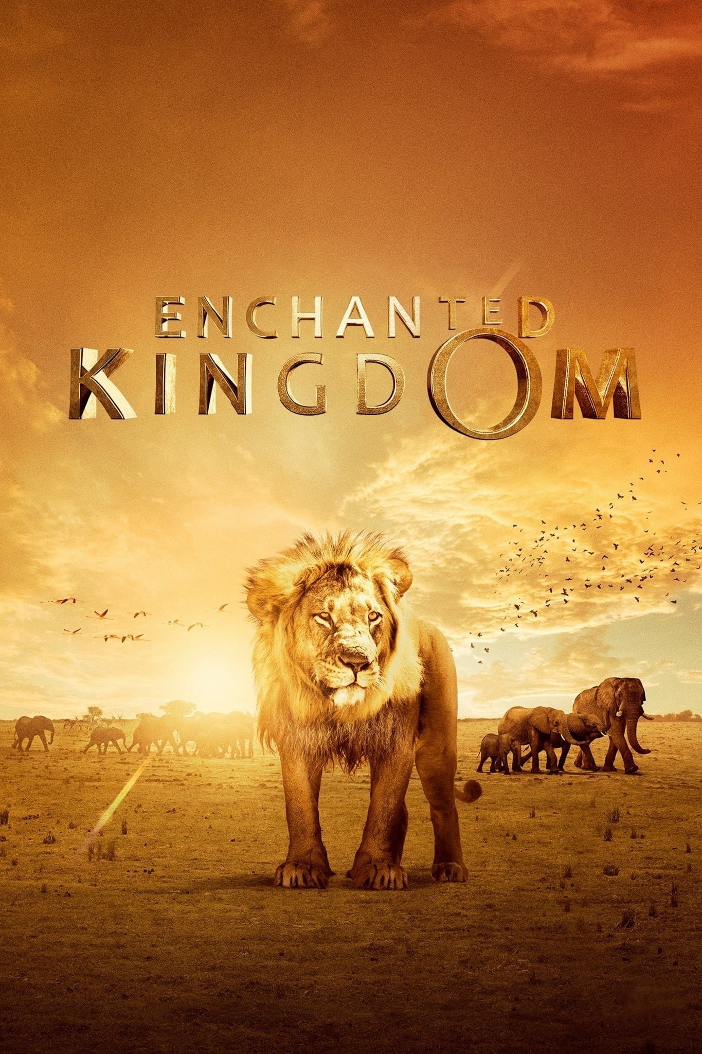 Постер Enchanted Kingdom